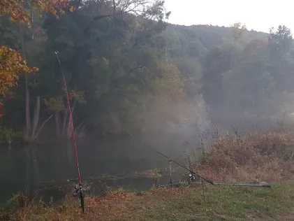 Fränkische Saale (Unterebersbach)