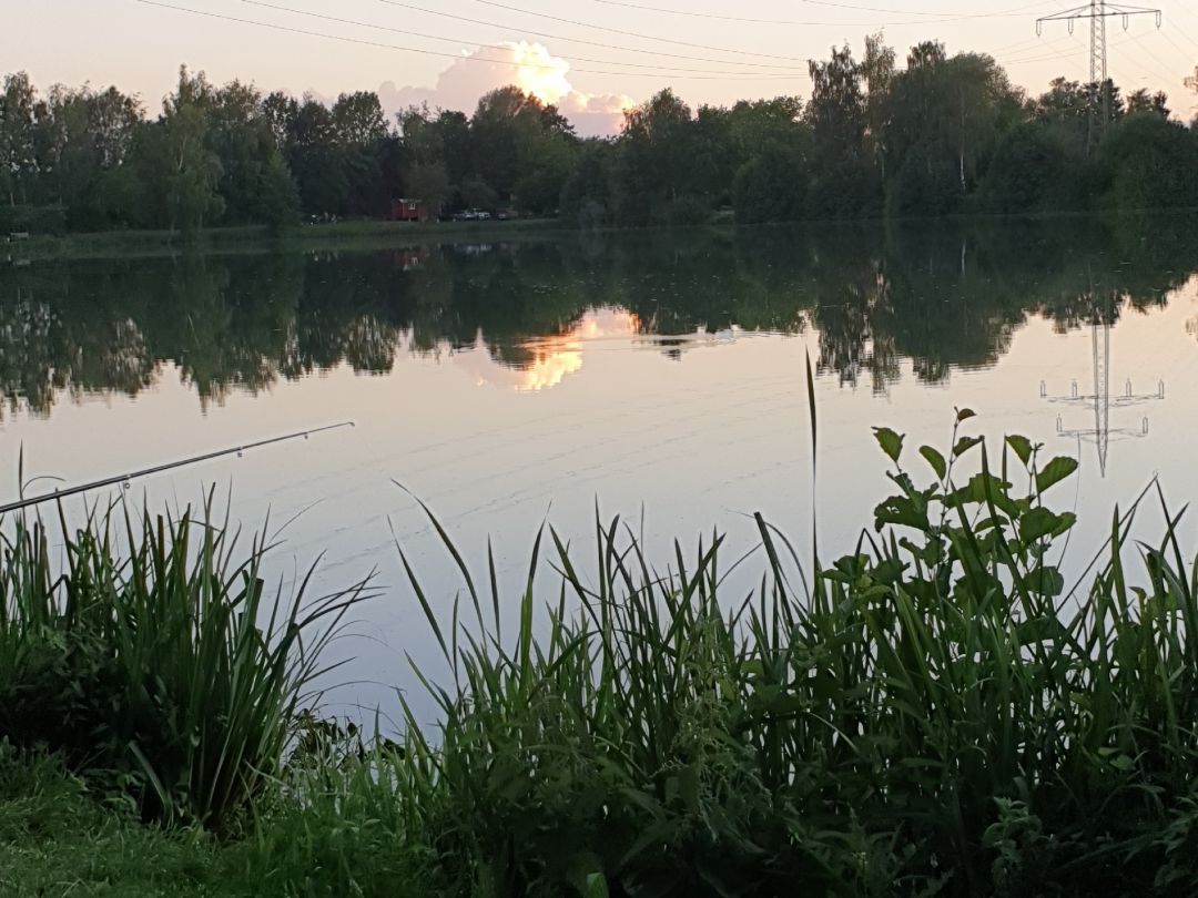 Zanderweiher (Bergkirchen) angeln