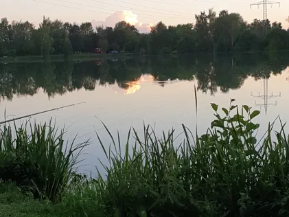 Zanderweiher (Bergkirchen)