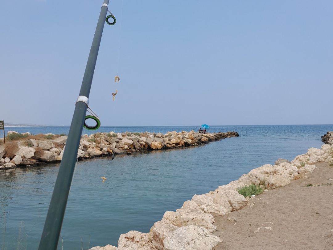 Mittelmeer (Mersin) angeln
