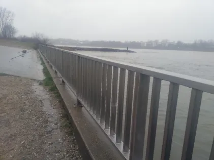 Rhein (Köln-Niehl)