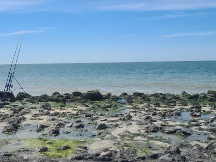 Nordsee (Westkapelle)