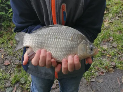 Tietjenteich