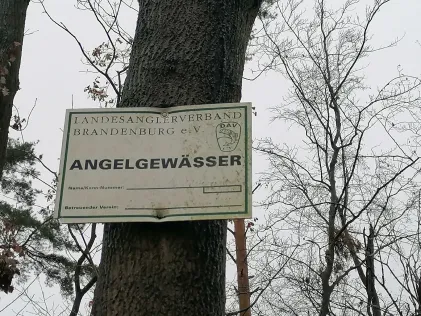 Kesselsee (Waldsieversdorf)