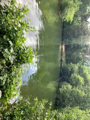 Großer und kleiner Recker