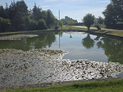 Dorfteich Oberwünsch