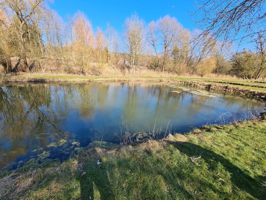 Forellengrund Mühlenteich (Osterode) angeln