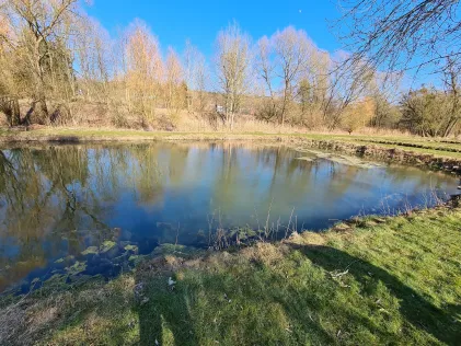 Forellengrund Mühlenteich (Osterode) 