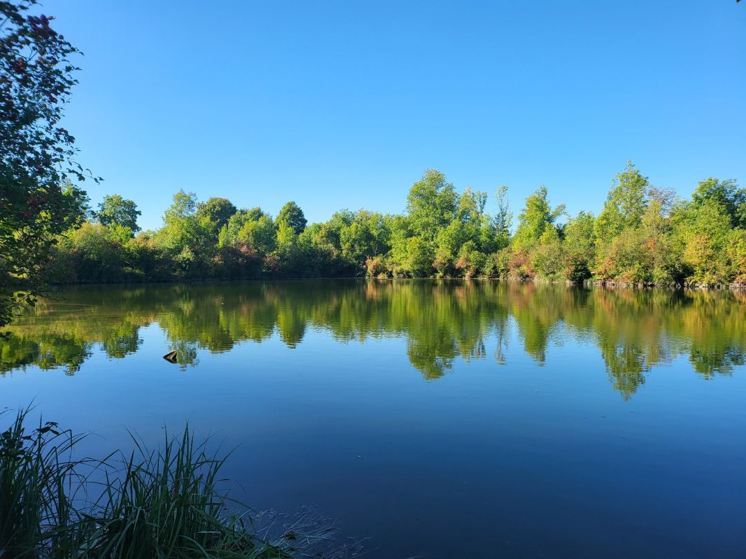 Sossauer Weiher 2 angeln