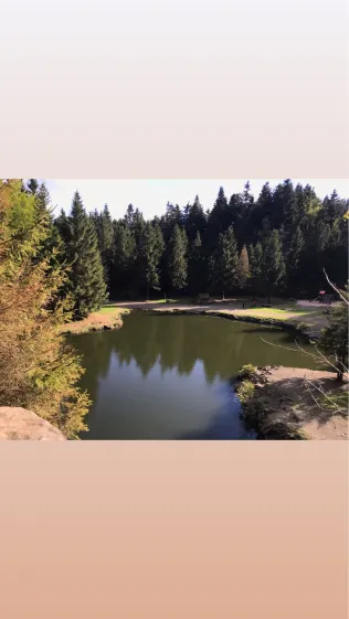 Bergsee (Ebertswiese)
