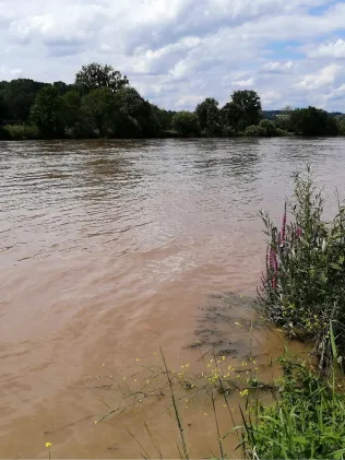 Neckar (Bad Wimpfen-Offenau)