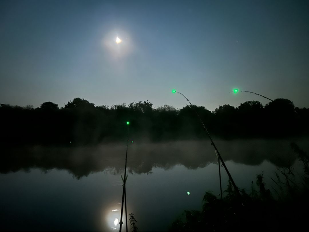 Ems (Lingen) angeln