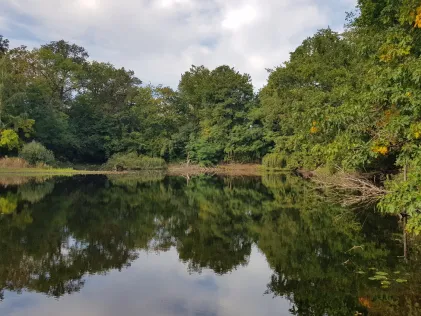 Hubertussee (Borgsdorf)
