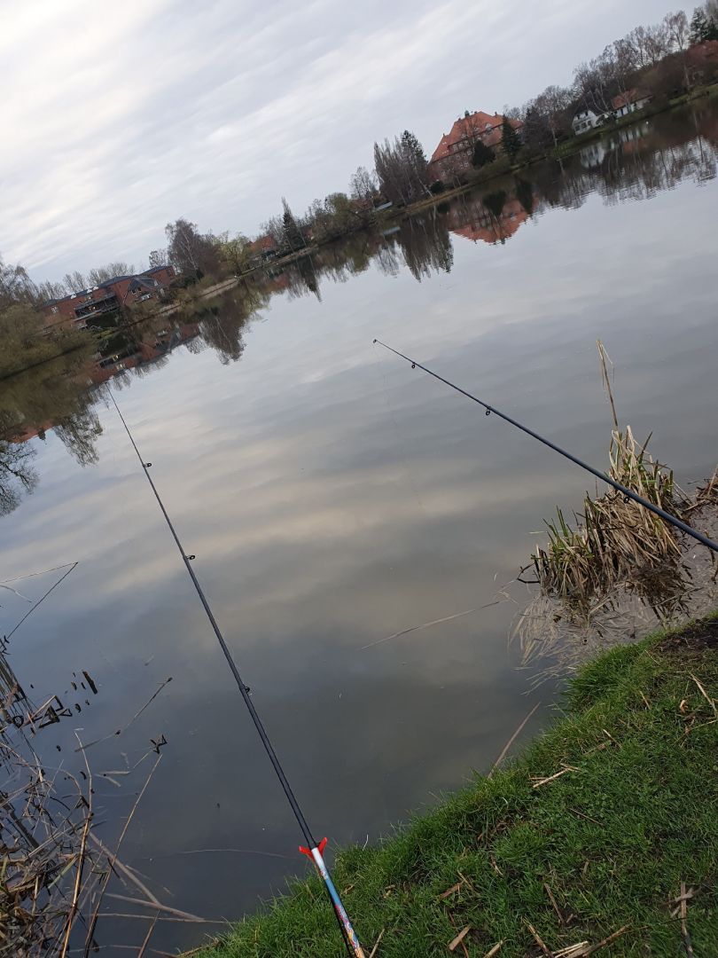 Oberteich (Schönberg) angeln