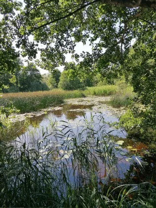 Torflöcher Klueß
