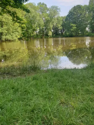 Teich Striesa 