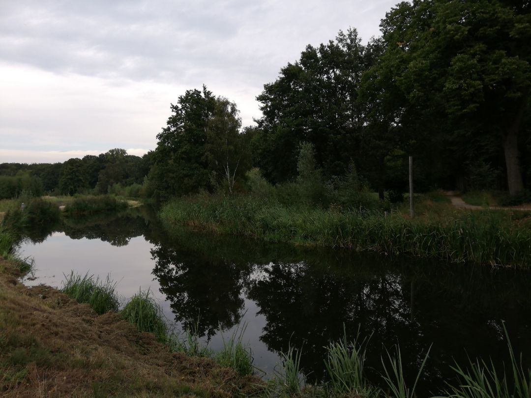 Issel (Gendringen) angeln