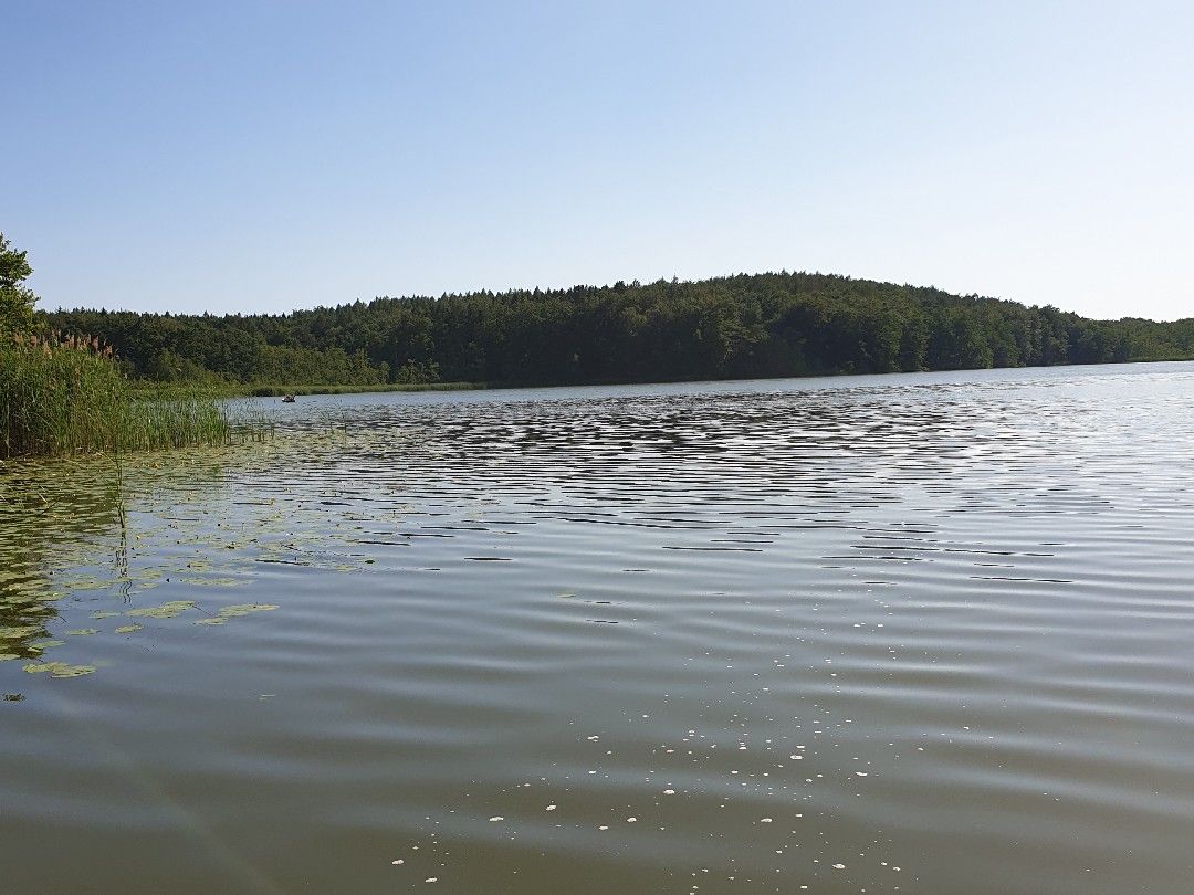 Schumellensee angeln