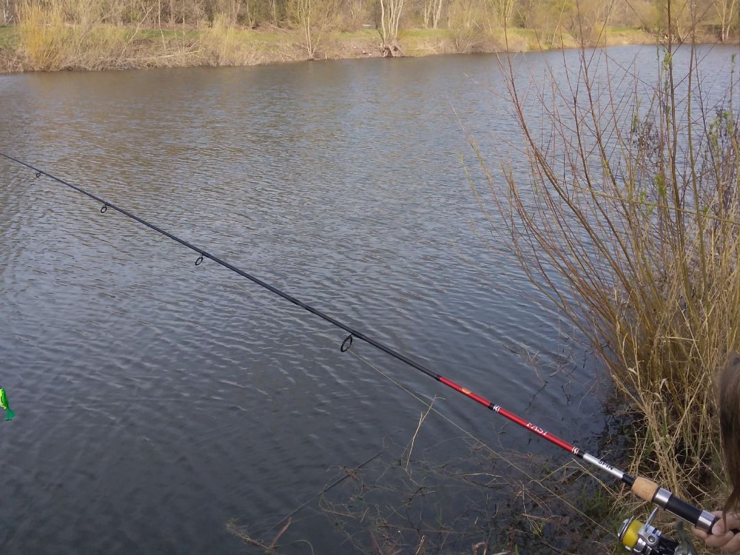 Kiessee Föhrste angeln