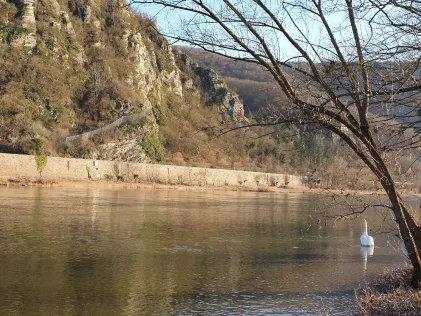 Mosel (Müden-Moselkern)