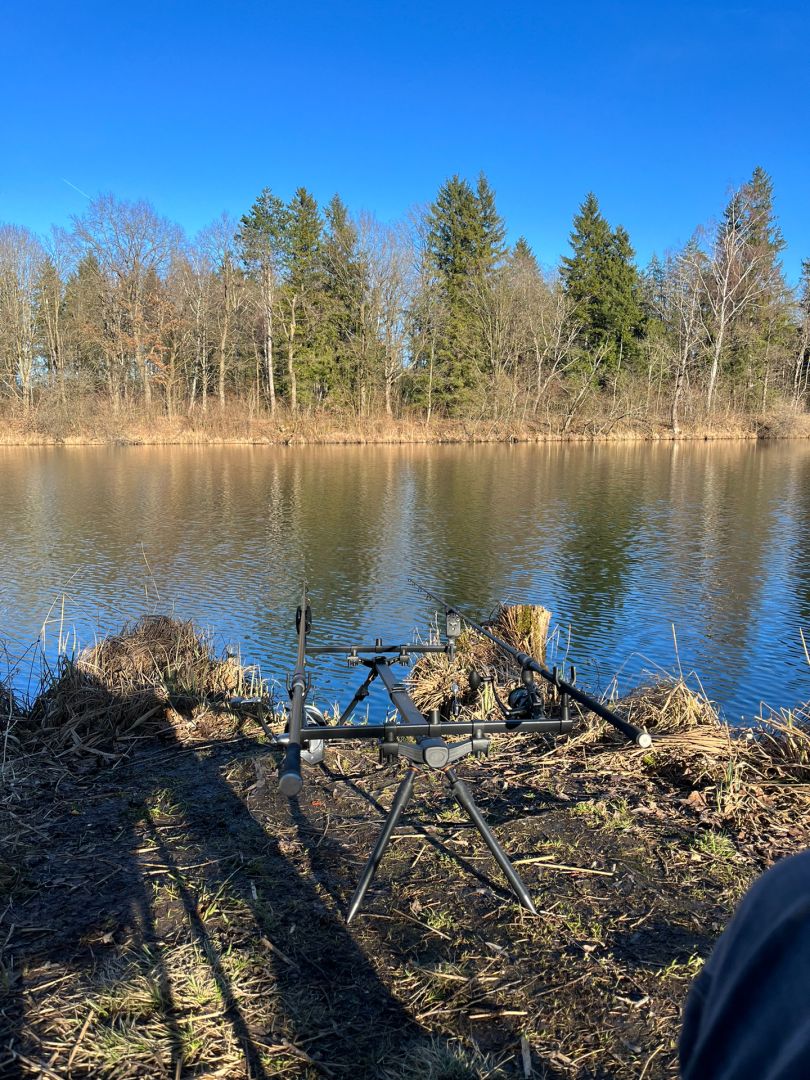 Aschenwaldsee (Rohrdorf) angeln