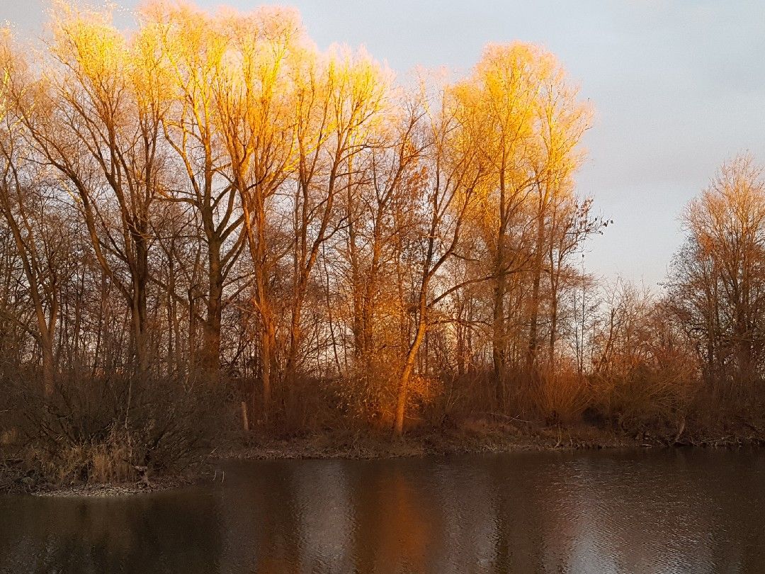 Baggersee Hamlar angeln