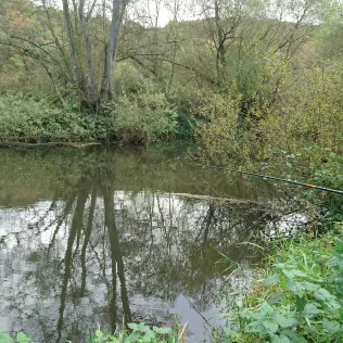 Glan (Odenbach)