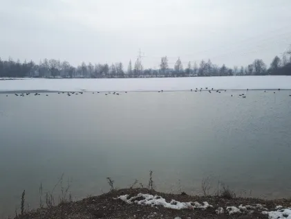 Weiher II, Birkenstraße (Niederneuching)