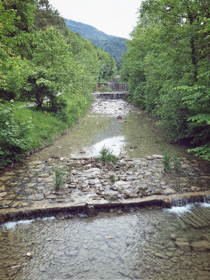 Jenbach (Bad Feilnbach) angeln