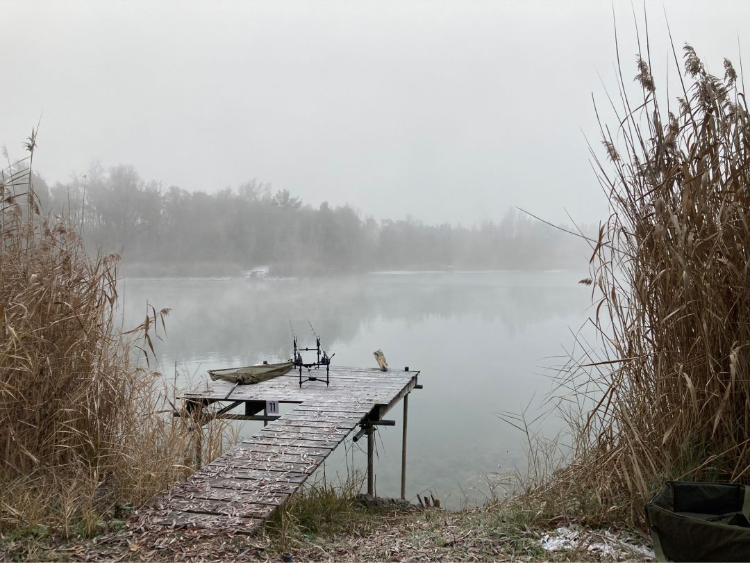 Gänsweidsee (Klein-Gerau) angeln