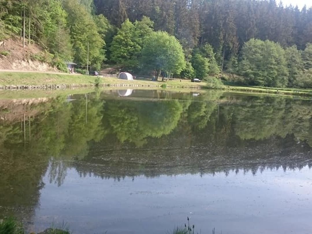 Weiher Trittscheid angeln