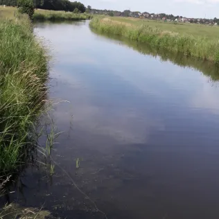 Finkhauswehle (Husum)