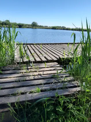 Finkhauswehle (Husum)