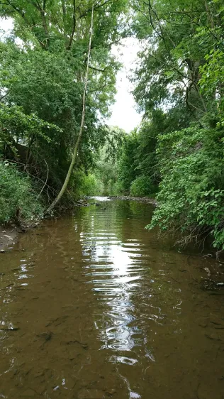 Wisenta (Unterkoskau)