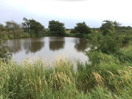 Schöpfwerkskanal Oldsum (Föhr)