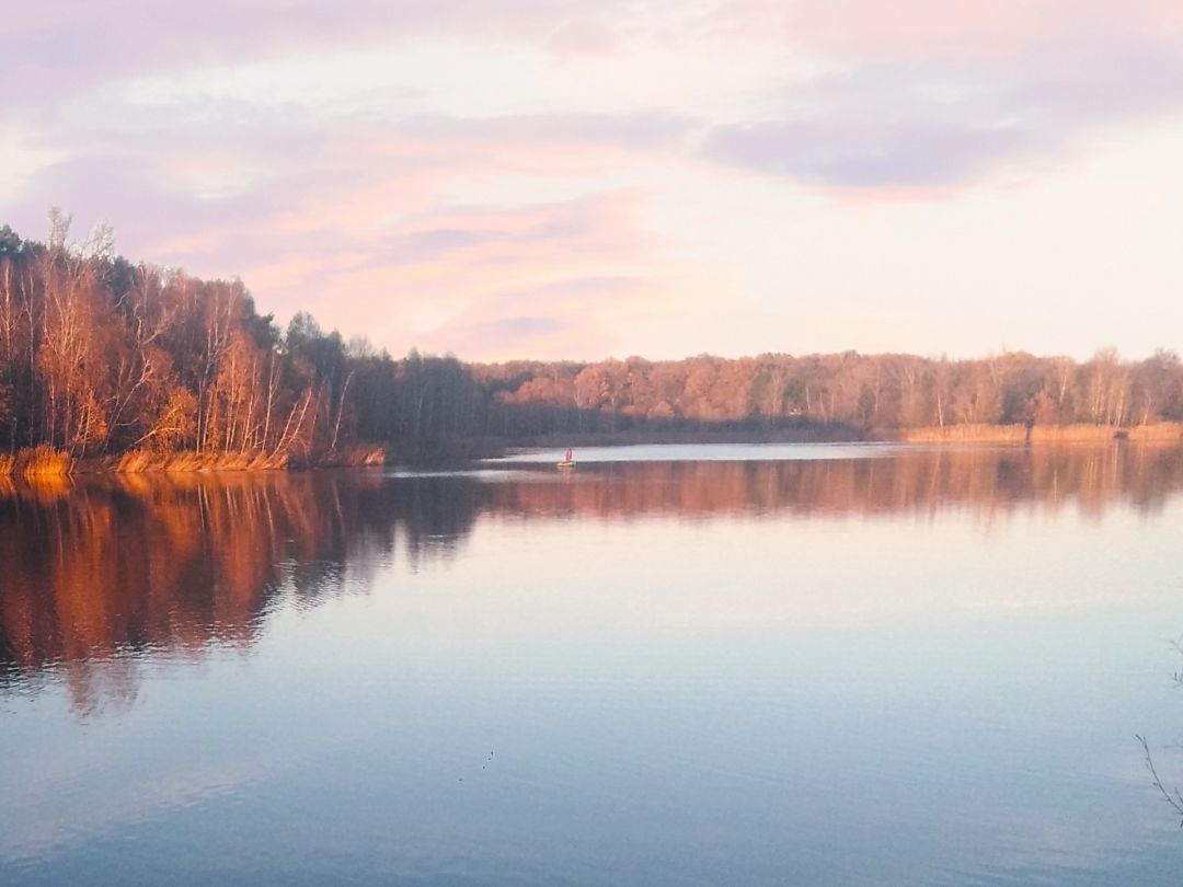 Heidesee (Halle-Nietleben) angeln