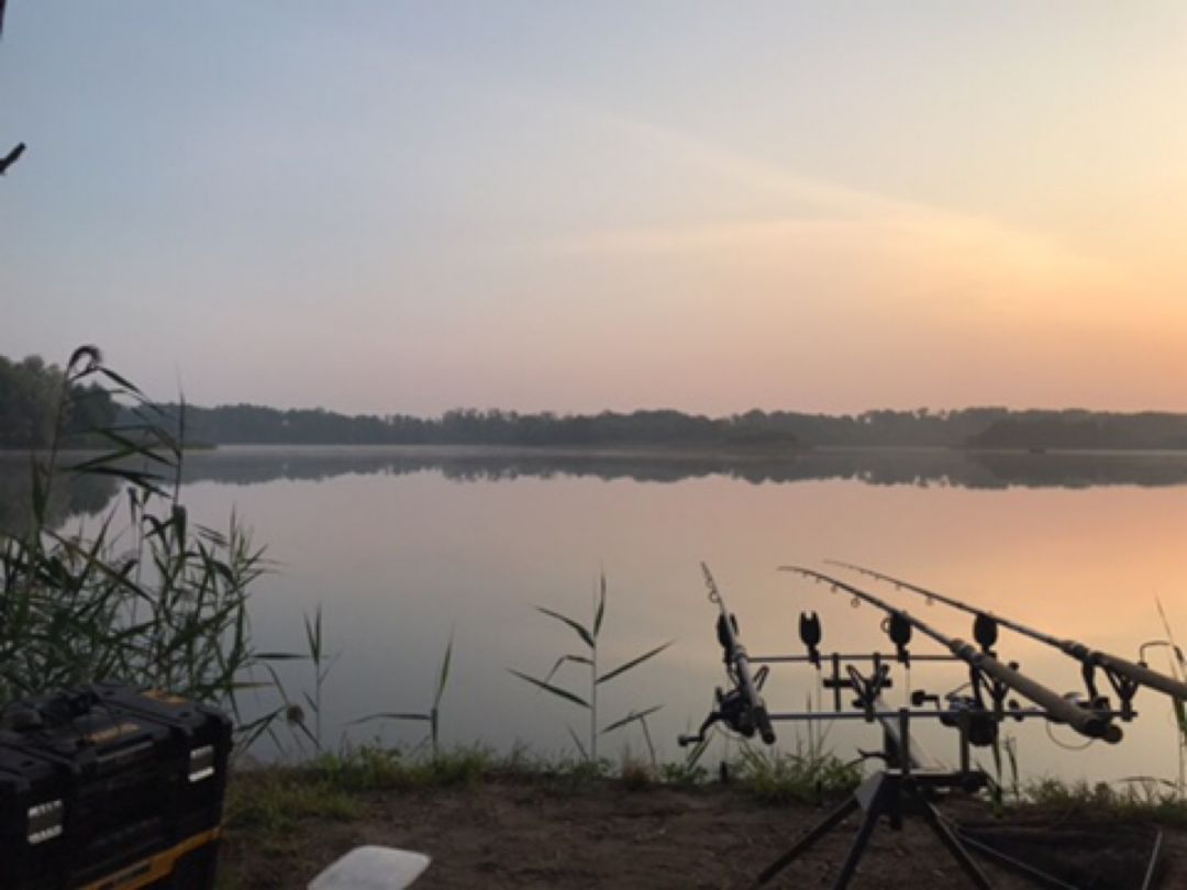 Baggersee Gusow angeln