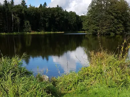 Annasee (Altonasee Wildeshausen)