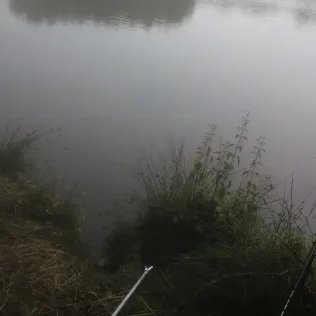 Surfsee (Cloppenburg)