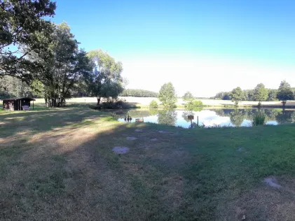 Manta-Weiher (Burgthann)