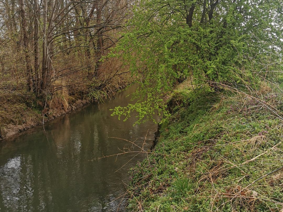 Angeln in Baddeckenstedt