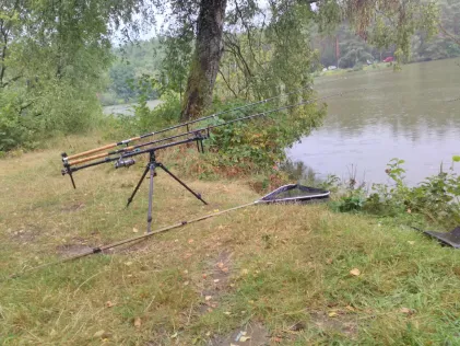 Steiner Weiher (Wallesau)