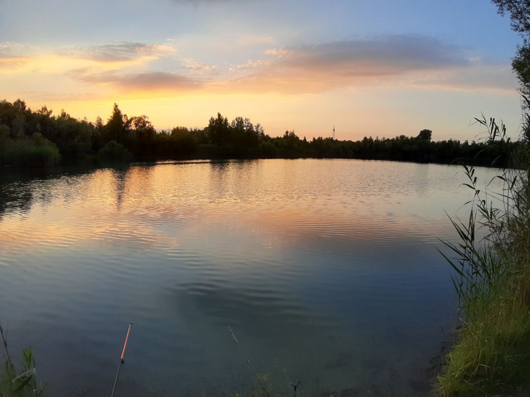 Weißriedsee angeln