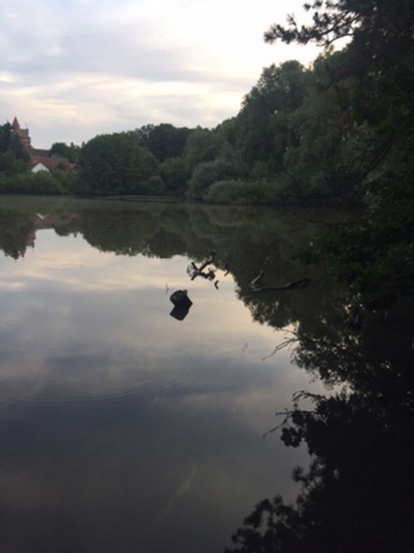 Ziegelteich Altenhausen angeln