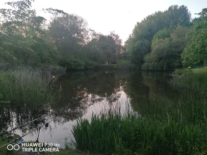 Rückhaltebecken Diesdorfer Graseweg