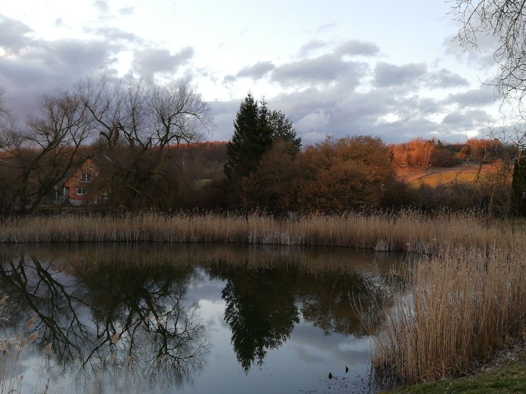 Kleiner Teich (Niedersachswerfen) angeln