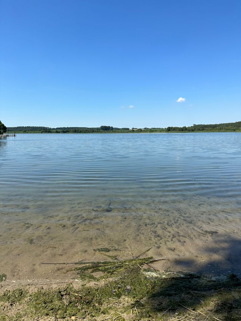 Lohmer See angeln