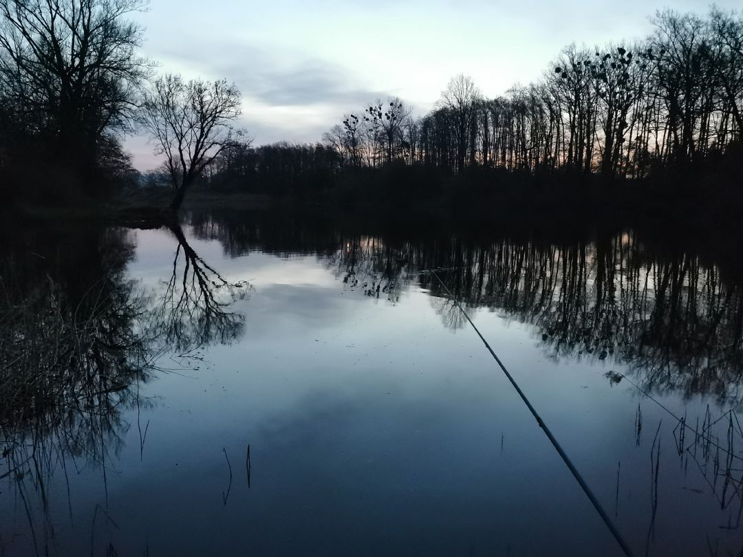 Starorzecze Odry (Mechnica) angeln