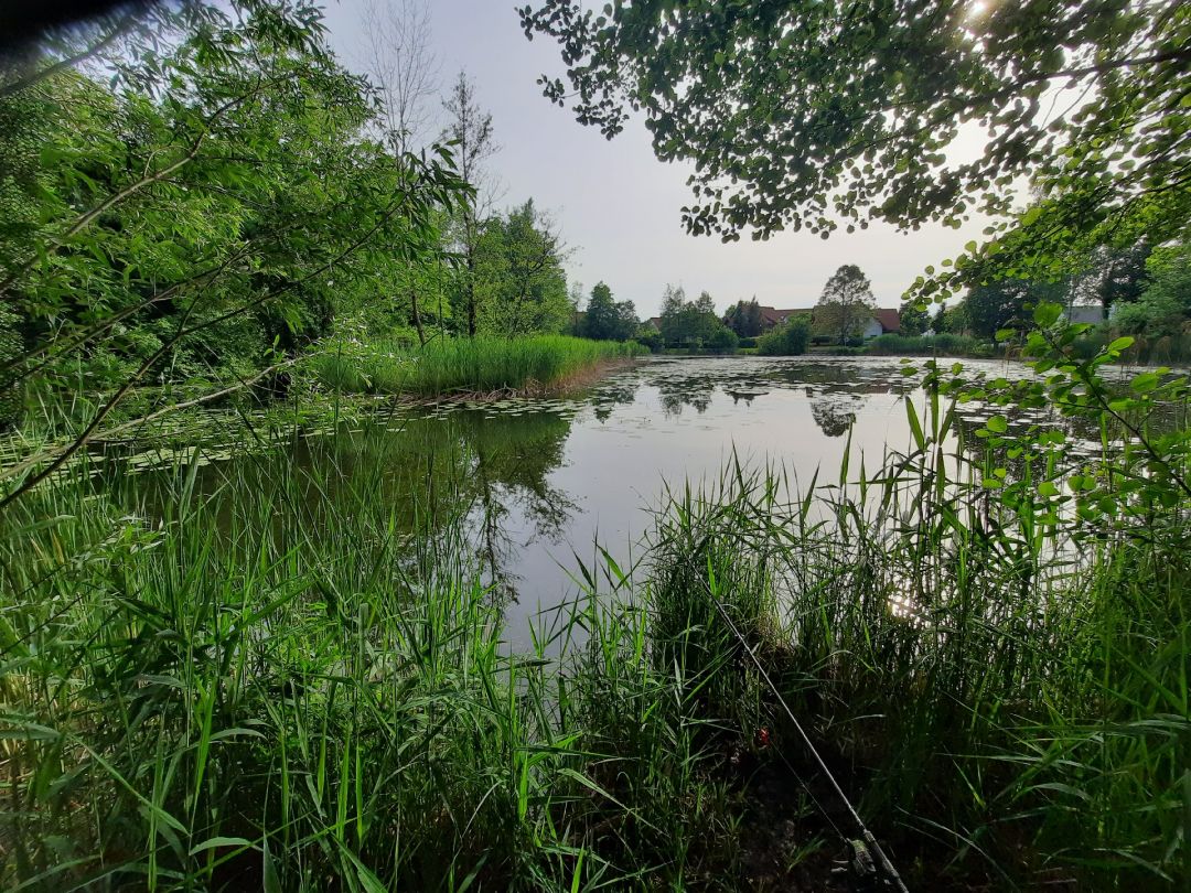 Schlierer Weiher angeln