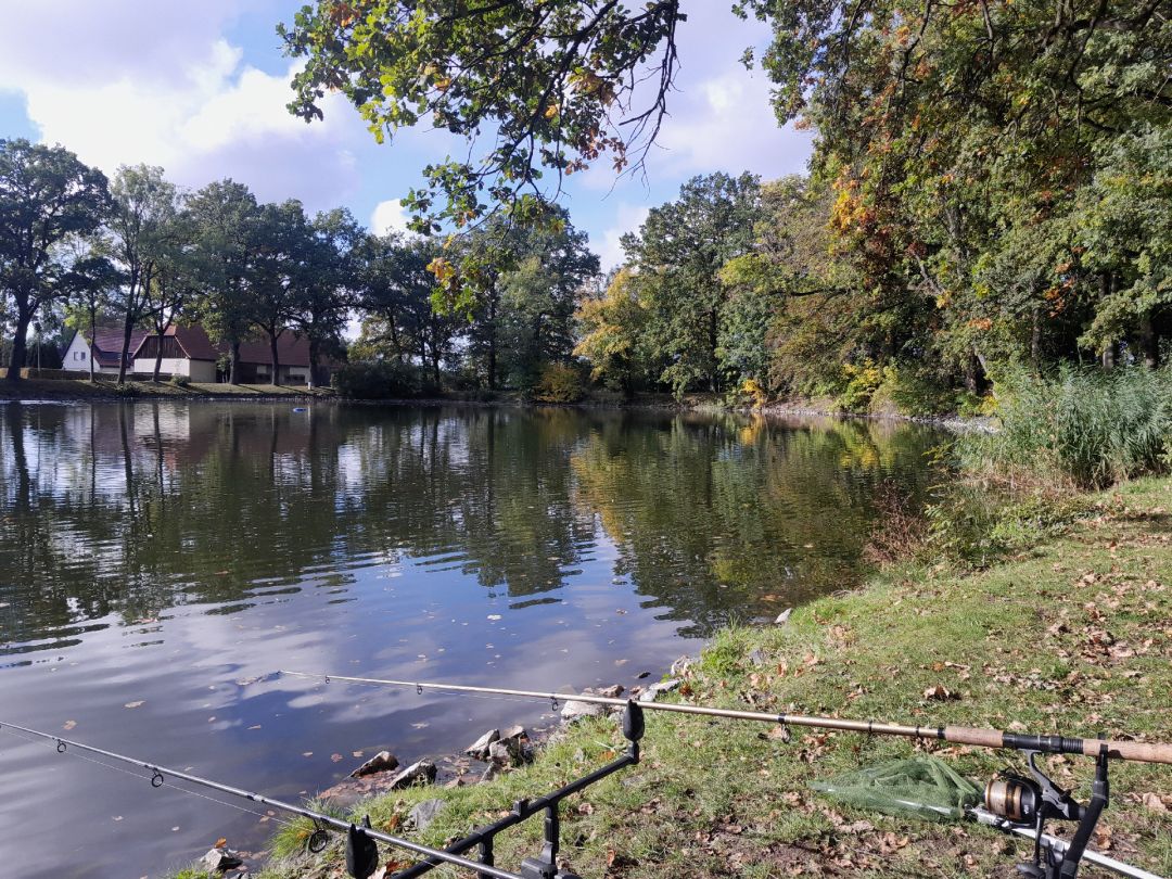 Herrenteich (Herrengosserstedt) angeln